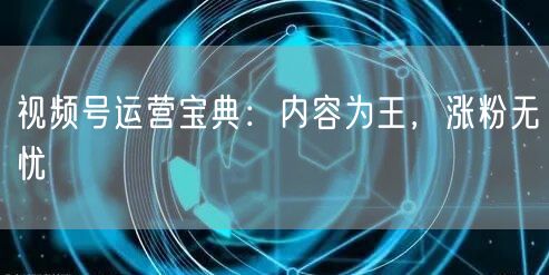 视频号运营宝典：内容为王，涨粉无忧