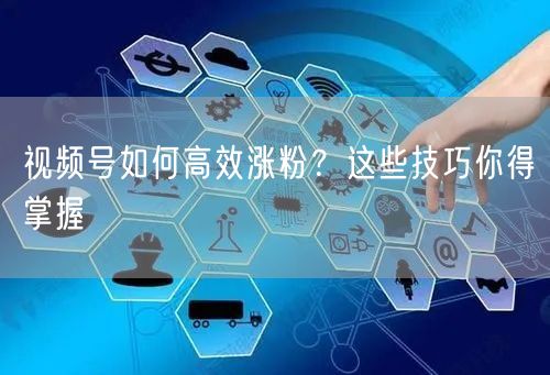 视频号如何高效涨粉？这些技巧你得掌握