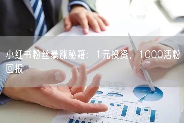 小红书粉丝暴涨秘籍：1元投资，1000活粉回报