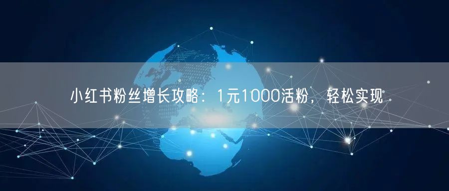 小红书粉丝增长攻略：1元1000活粉，轻松实现