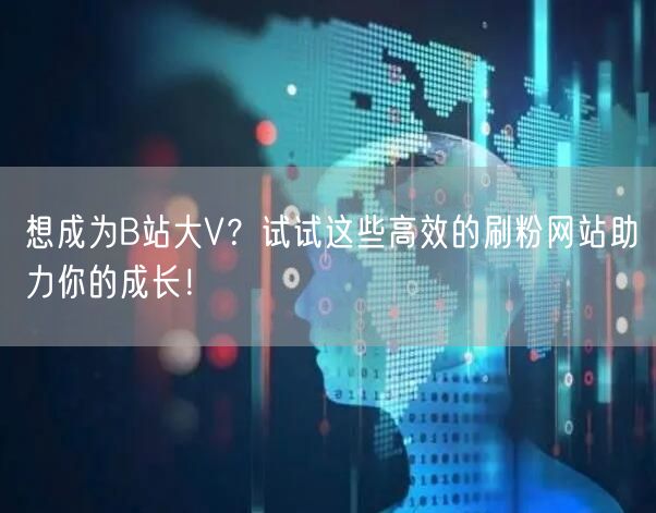 想成为B站大V？试试这些高效的刷粉网站助力你的成长！